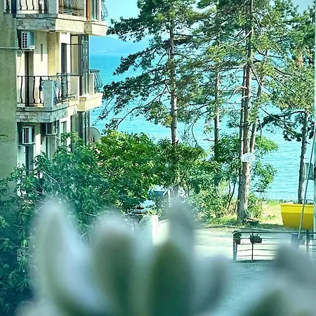 Floral, First Sea Line Coast 포마리
