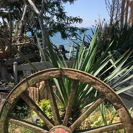 아파트 Floral, First Sea Line Coast *